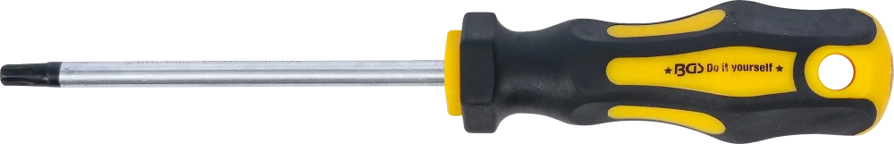 Csavarhúzó | T-profil (Torx) T30 | Pengehossz 100 mm