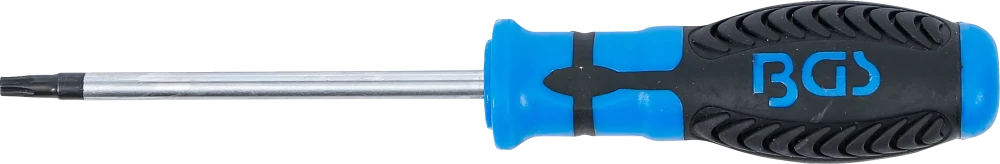 Csavarhúzó | T-profil (Torx) T27 furattal | Pengehossz 100 mm