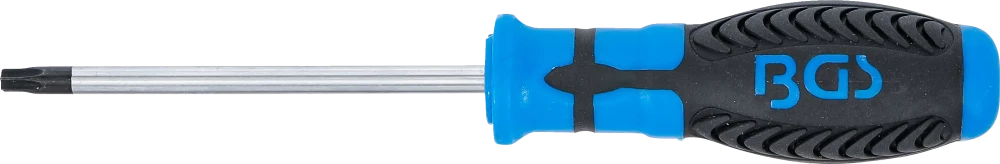 Csavarhúzó | T-profil (Torx) T30 furattal | Pengehossz 100 mm