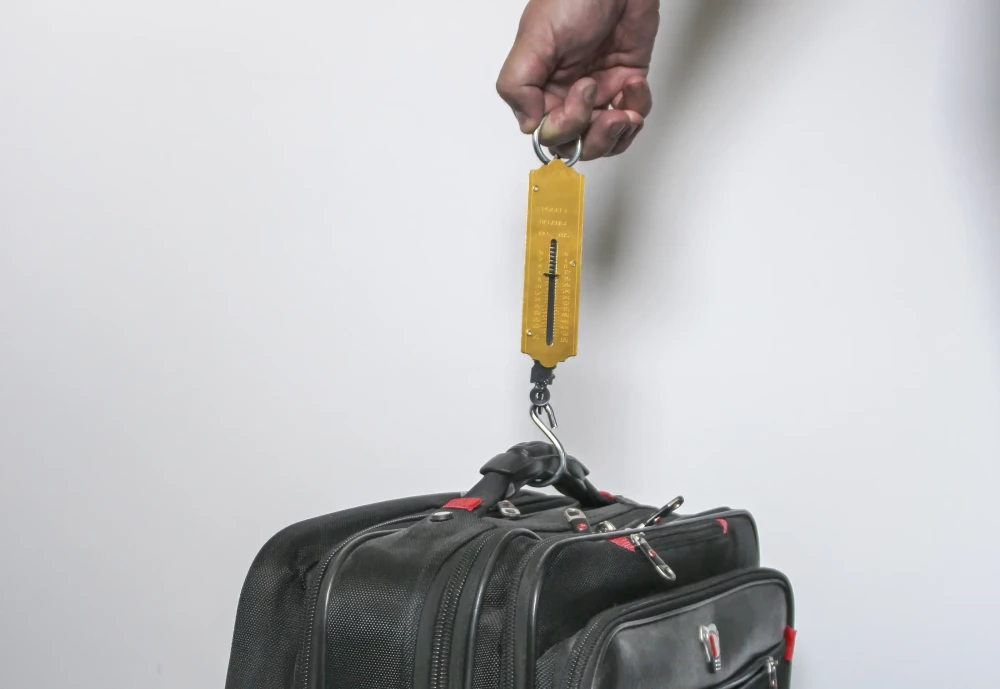 Kézi mérleg | 25 kg-ig