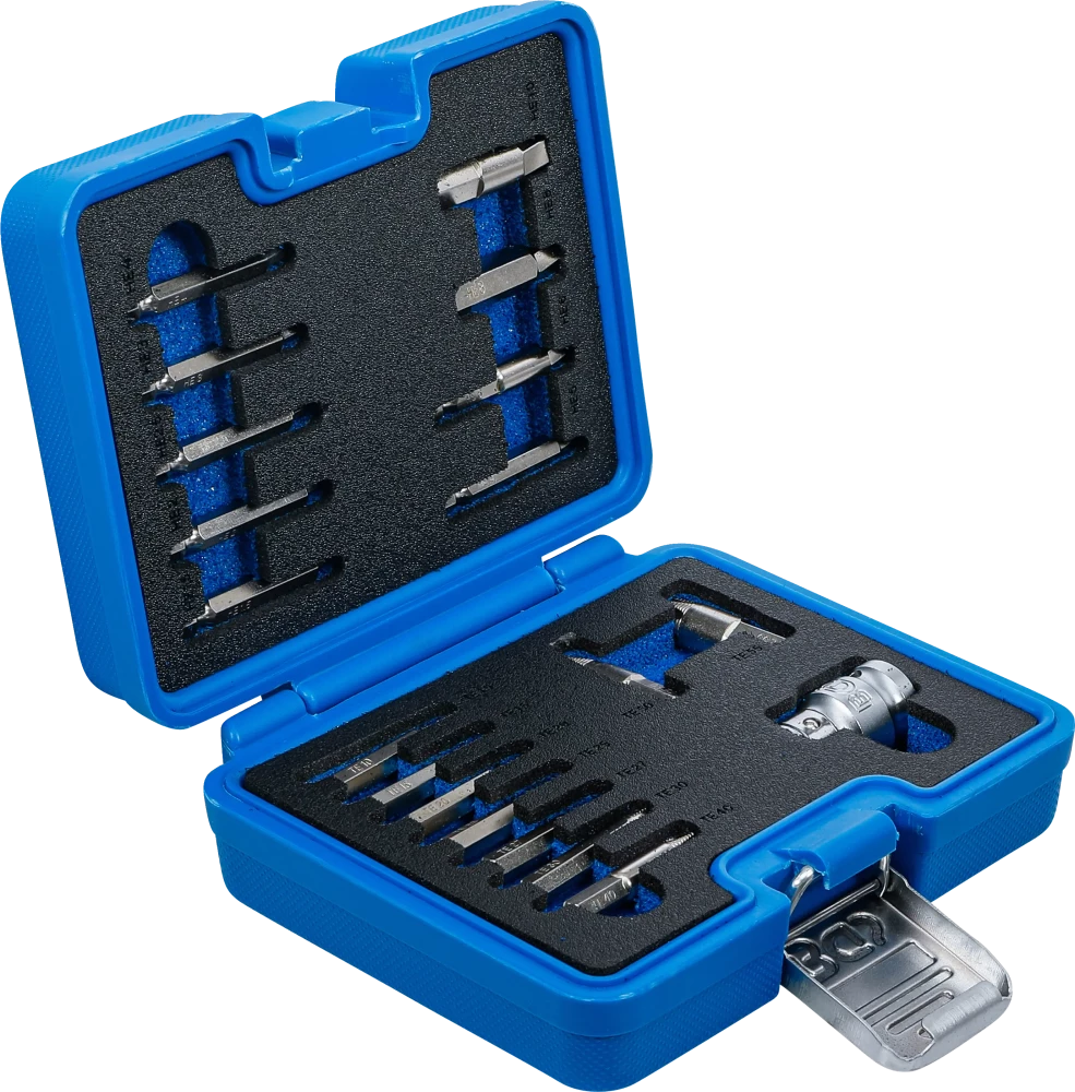 Csavarkiszedő készlet | 1,5 - 10 mm belső hatszöghöz / T-profil (Torx) | T10 - T55 | 19 darabos