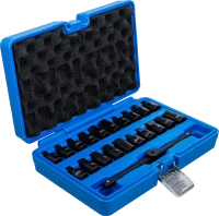 Speciális olajleeresztő-kulcs készlet | 10 mm (3/8") | 21 darabos