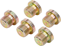 Olajleeresztő csavarok | BGS 126 | M17 x 1,5 mm | 5 darabos