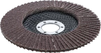 Legyező alakú csiszolótárcsa | Ø 125 mm | K 60