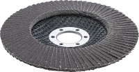Legyező alakú csiszolótárcsa | Ø 125 mm | K 120
