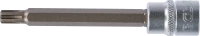 Behajtófej | Hossz 100 mm | 10 mm (3/8") | Ékprofil (RIBE) M7