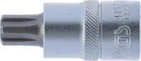 Behajtófej | 12,5 mm (1/2") | Ékprofil (RIBE) M13