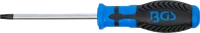 Csavarhúzó | T-profil (Torx) T30 | Pengehossz 100 mm