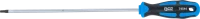Csavarhúzó | T-profil (Torx) T25 | Pengehossz 250 mm