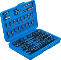 Behajtófej készlet | Külső hatszögletű 6,3 mm (1/4") | 100 darabos
