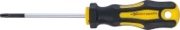 Csavarhúzó | T-profil (Torx) T10 | Pengehossz 60 mm