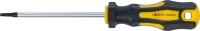 Csavarhúzó | T-profil (Torx) T15 | Pengehossz 100 mm