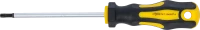 Csavarhúzó | T-profil (Torx) T20 | Pengehossz 100 mm