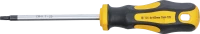 Csavarhúzó | T-profil (Torx) T25 | Pengehossz 100 mm