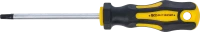Csavarhúzó | T-profil (Torx) T30 | Pengehossz 100 mm