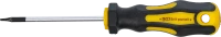 Csavarhúzó | T-profil (Torx) T6 | Pengehossz 60 mm