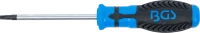 Csavarhúzó | T-profil (Torx) T27 furattal | Pengehossz 100 mm