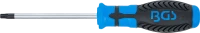 Csavarhúzó | T-profil (Torx) T30 furattal | Pengehossz 100 mm