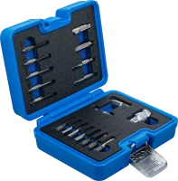 Csavarkiszedő készlet | 1,5 - 10 mm belső hatszöghöz / T-profil (Torx) | T10 - T55 | 19 darabos