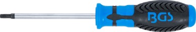 Chave de parafusos | Perfil T (para Torx) T25 | Comprimento da lâmina 100 mm 