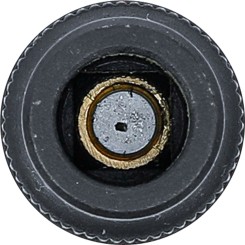 Serie di bussole portamaschio | 10 mm (3/8") | 7,3 mm 