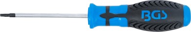Schraubendreher | T-Profil (für Torx) mit Bohrung T10 | Klingenlänge 80 mm 