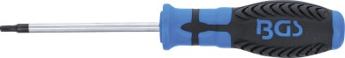 Schraubendreher | T-Profil (für Torx) mit Bohrung T15 | Klingenlänge 80 mm 