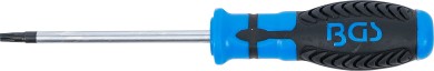Schraubendreher | T-Profil (für Torx) mit Bohrung T27 | Klingenlänge 100 mm 