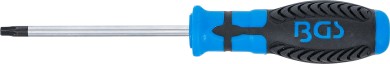 Schraubendreher | T-Profil (für Torx) mit Bohrung T30 | Klingenlänge 100 mm 