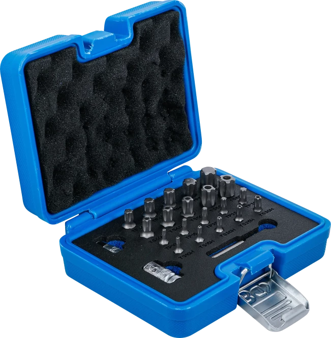 Conjunto de pontas | Perfil TS (para Torx Plus) | 23 peças 