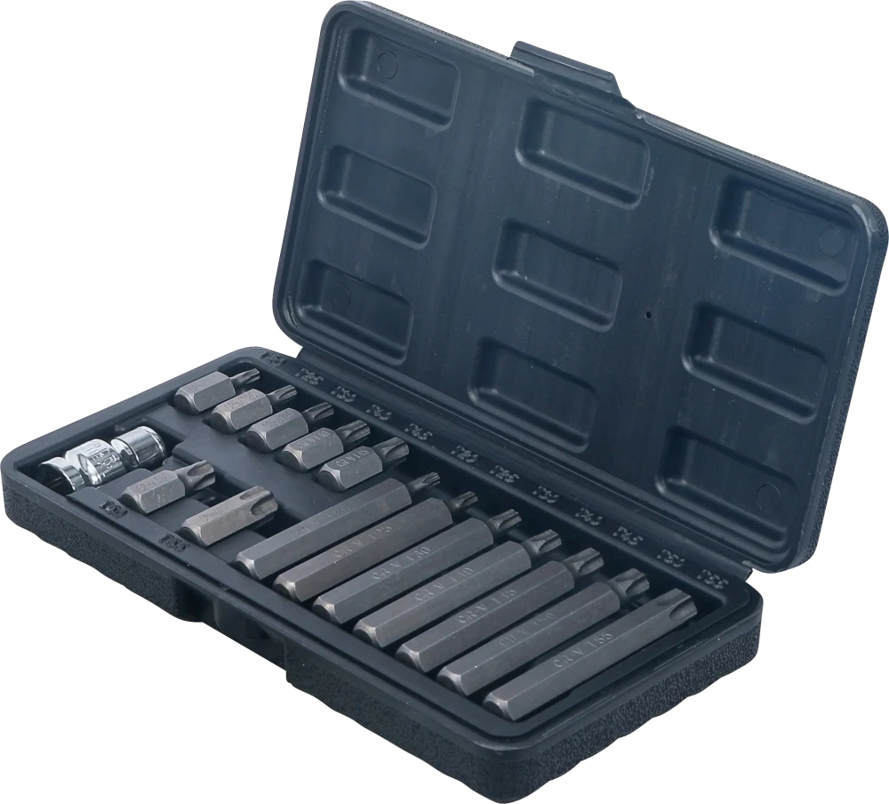 Behajtófej készlet | külső hatszögletű kulcsnyílású hajtás 10 mm (3/8") | T-profil (Torx) | 15 darabos
