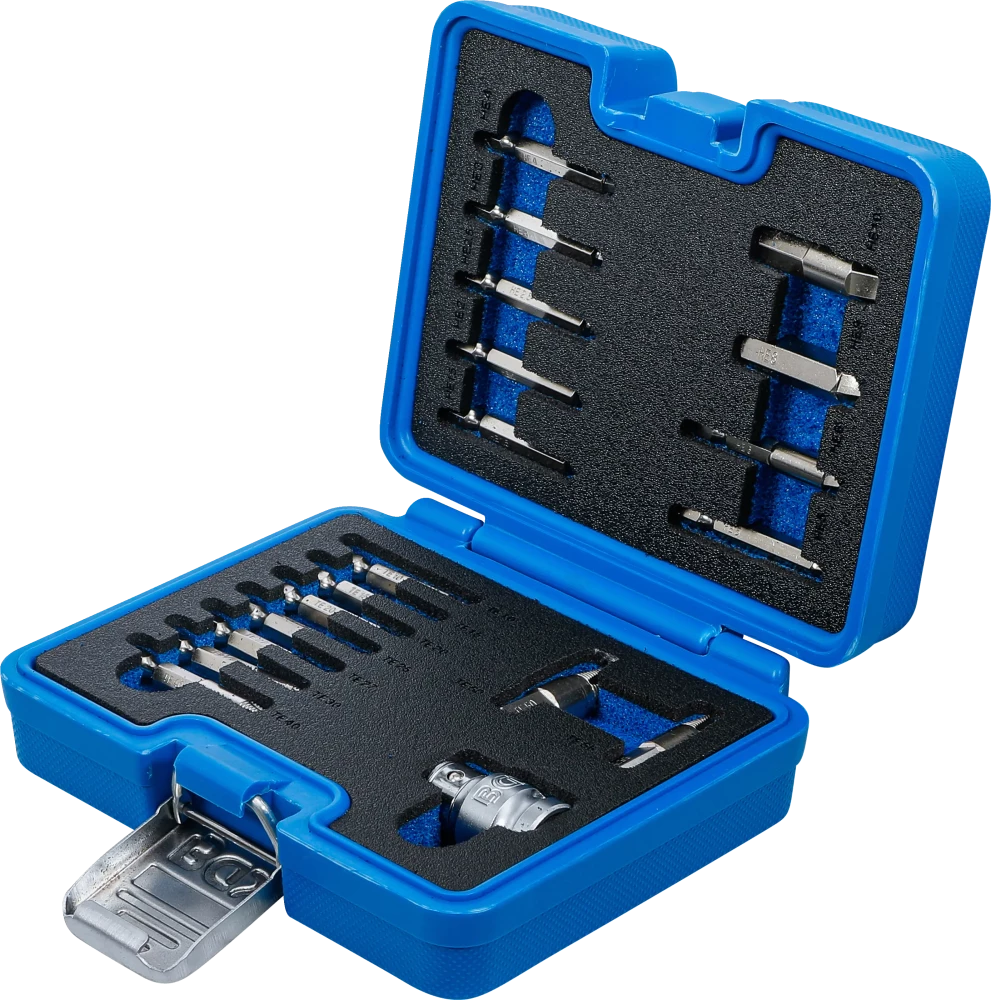 Csavarkiszedő készlet | 1,5 - 10 mm belső hatszöghöz / T-profil (Torx) | T10 - T55 | 19 darabos