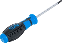 Csavarhúzó | T-profil (Torx) T25 | Pengehossz 100 mm