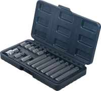 Behajtófej készlet | külső hatszögletű kulcsnyílású hajtás 10 mm (3/8") | T-profil (Torx) | 15 darabos