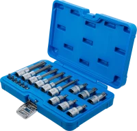 Behajtófej-készlet | 6,3 mm (1/4") / 12,5 mm (1/2") | T-profil (Torx) | 18 darabos
