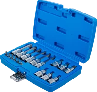 Behajtófej-készlet | 6,3 mm (1/4") / 12,5 mm (1/2") | T-profil (Torx) furattal | 18 darabos