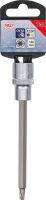 Behajtófej | 12,5 mm (1/2") | T-profil (Torx) T30
