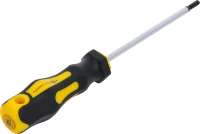 Csavarhúzó | T-profil (Torx) T20 | Pengehossz 100 mm