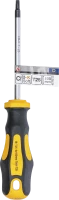 Csavarhúzó | T-profil (Torx) T25 | Pengehossz 100 mm