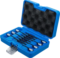 Behajtófej-készlet | 6,3 mm (1/4") | T-profil (Torx) gömbfejes T10 - T40 | 7 darabos