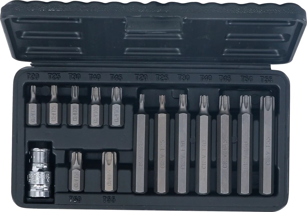 Behajtófej készlet | külső hatszögletű kulcsnyílású hajtás 10 mm (3/8") | T-profil (Torx) | 15 darabos