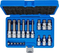 Behajtófej-készlet | 6,3 mm (1/4") / 12,5 mm (1/2") | (XZN) | 18 darabos