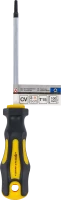 Csavarhúzó | T-profil (Torx) T15 | Pengehossz 100 mm