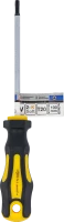 Csavarhúzó | T-profil (Torx) T20 | Pengehossz 100 mm